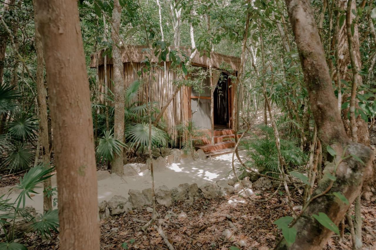 Naum - Secluded Villa With Private Cenote Tulum Kültér fotó