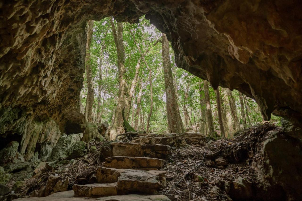 Naum - Secluded Villa With Private Cenote Tulum Kültér fotó