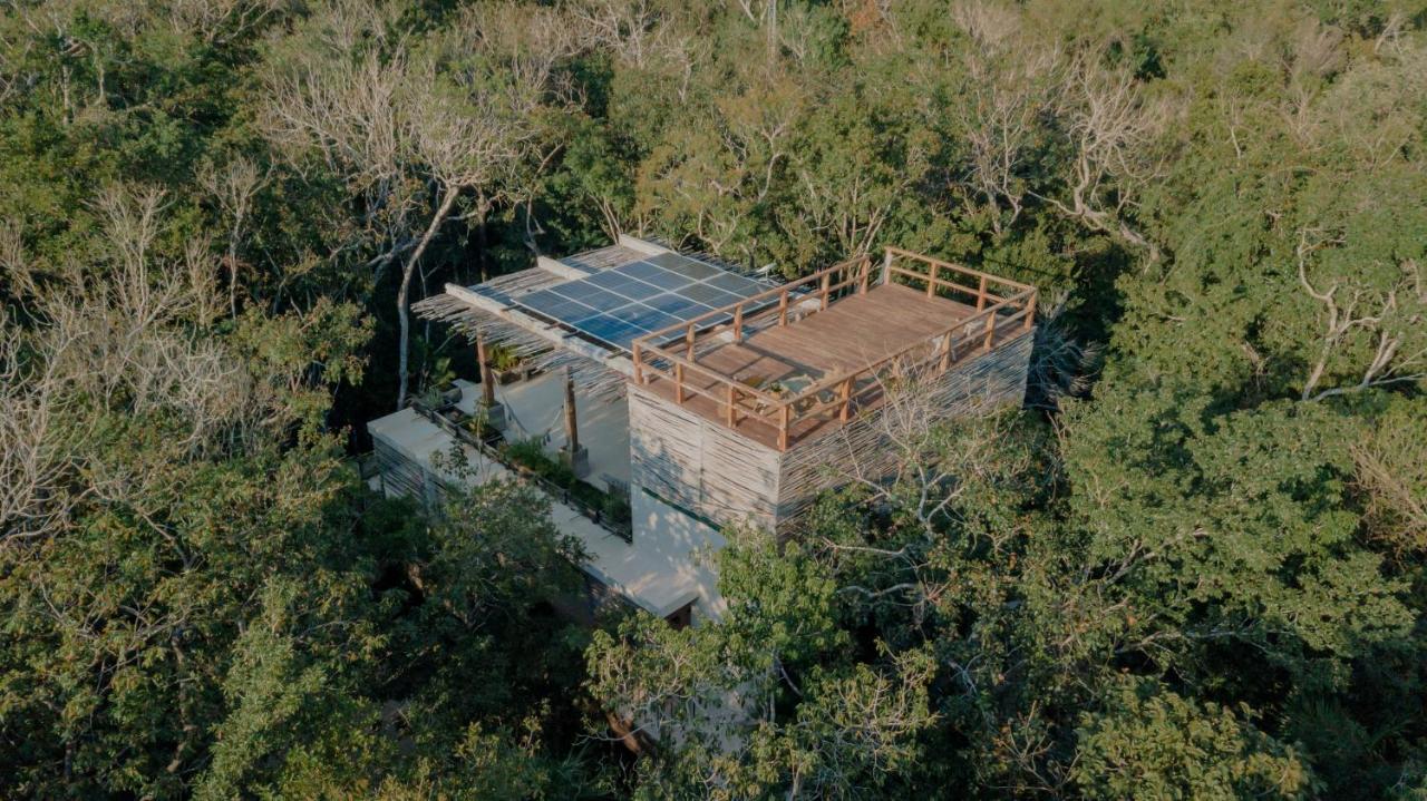 Naum - Secluded Villa With Private Cenote Tulum Kültér fotó
