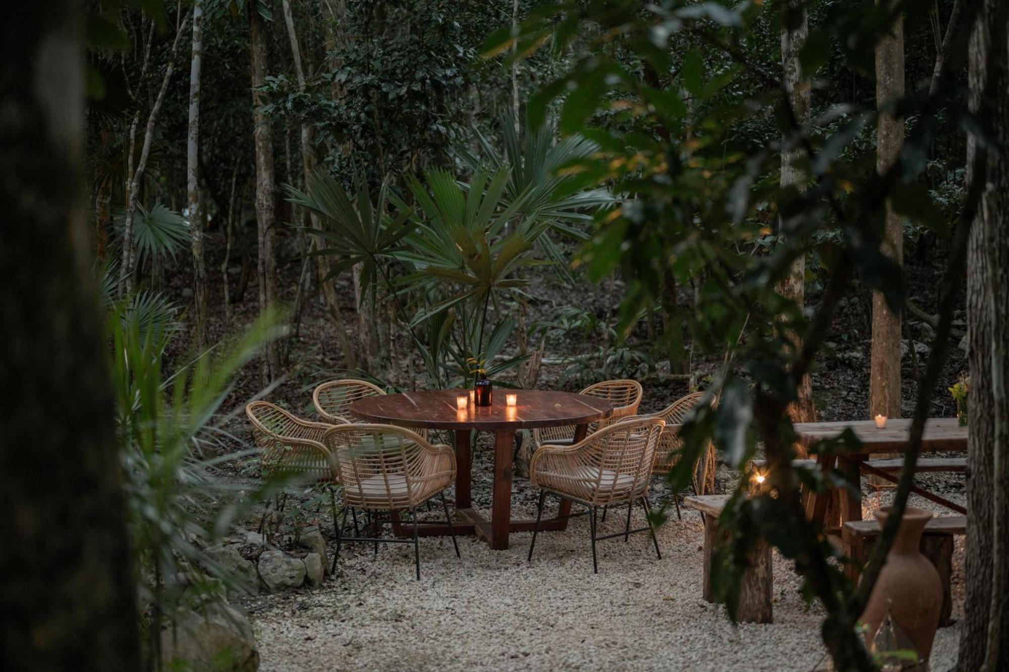 Naum - Secluded Villa With Private Cenote Tulum Kültér fotó