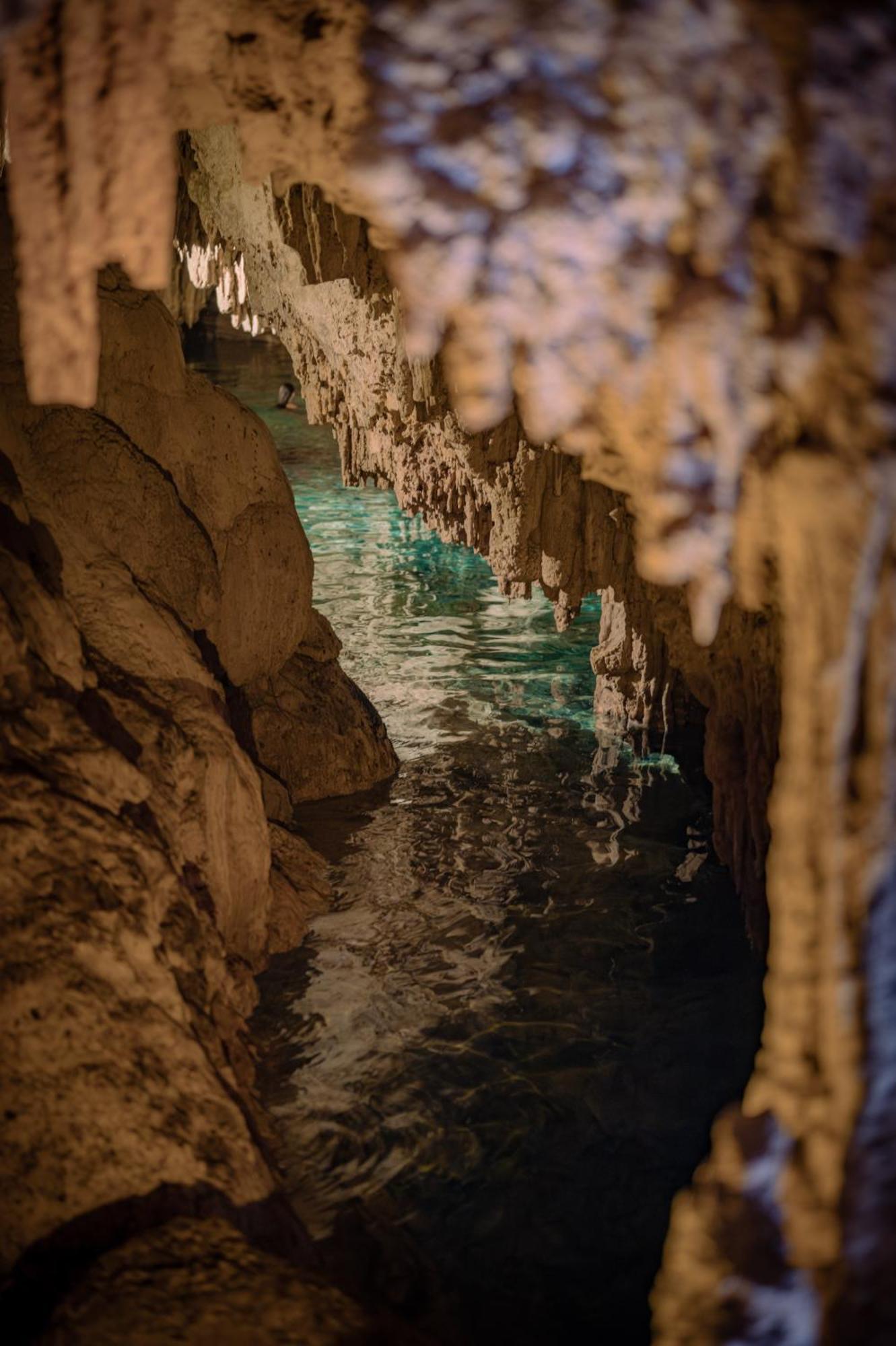 Naum - Secluded Villa With Private Cenote Tulum Kültér fotó