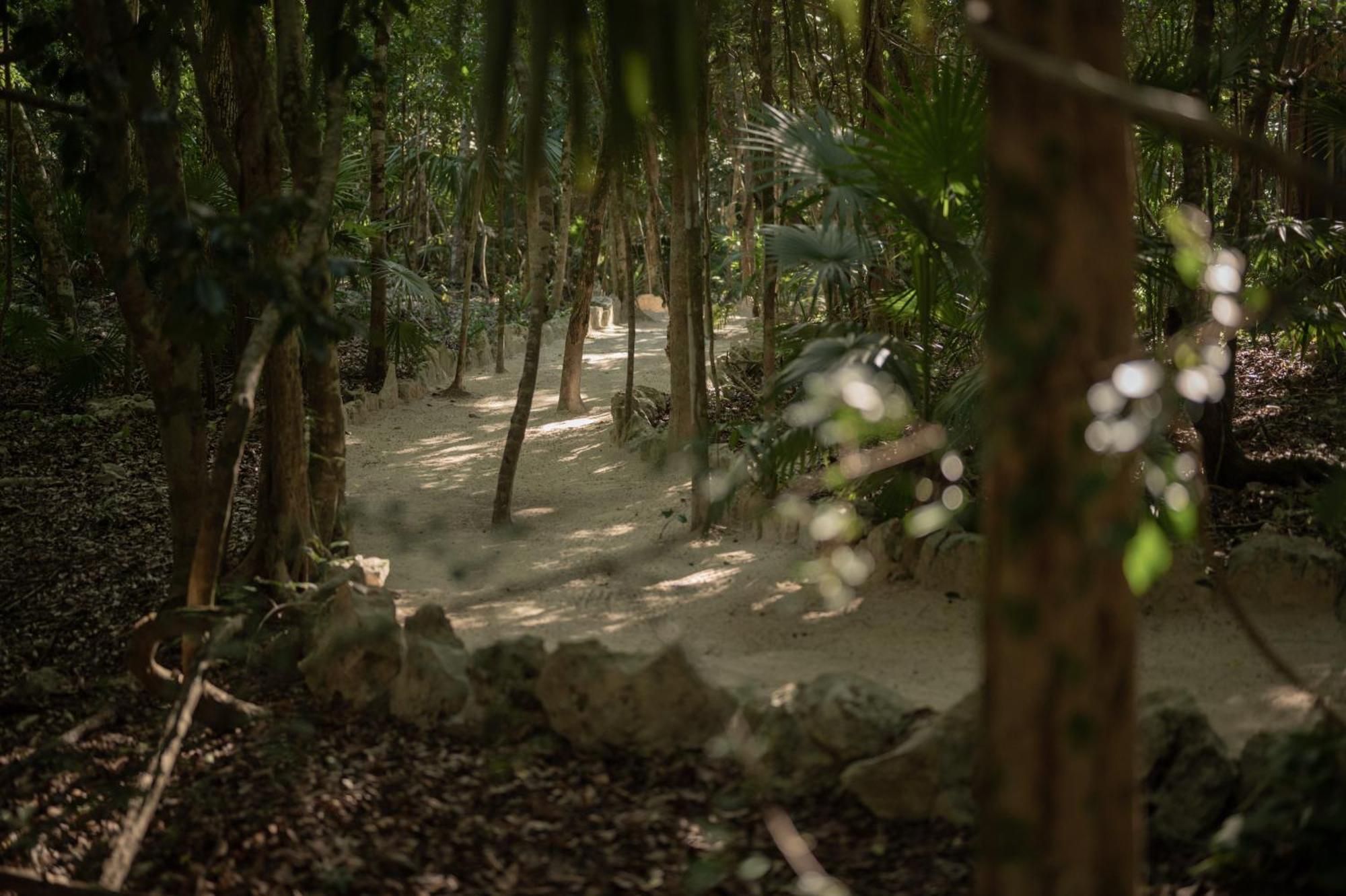 Naum - Secluded Villa With Private Cenote Tulum Kültér fotó